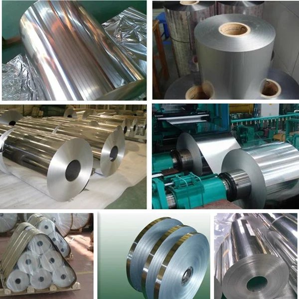 ���������X��